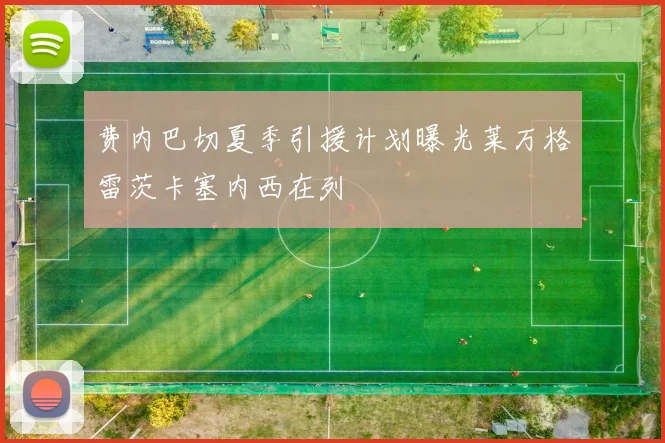 费内巴切夏季引援计划曝光莱万格雷茨卡塞内西在列